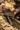 MAUSER_25_Brandenburg_Tag_1_CW_A1_01507_30x30