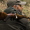 MAUSER_98_2_2000x2000_(1)_30x30