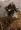 MAUSER 18 Fenris mobile Ansicht_30x30